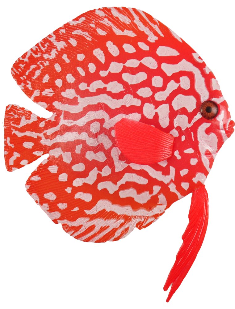 Decoratie fluo siervissen ass