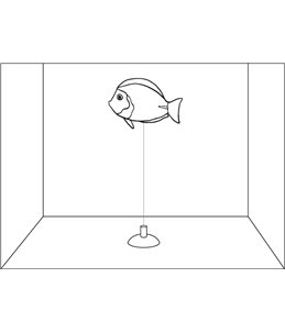 Decoratie fluo siervissen ass