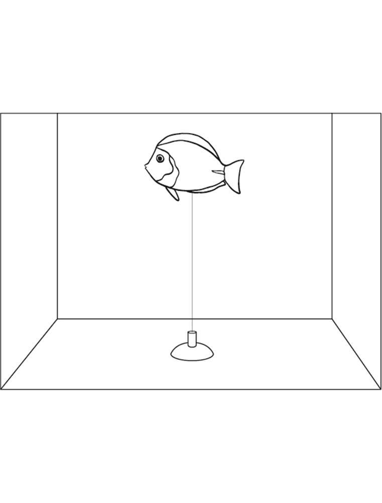 Decoratie fluo siervissen ass