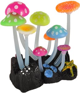 Decoratie fluo paddenstoelen