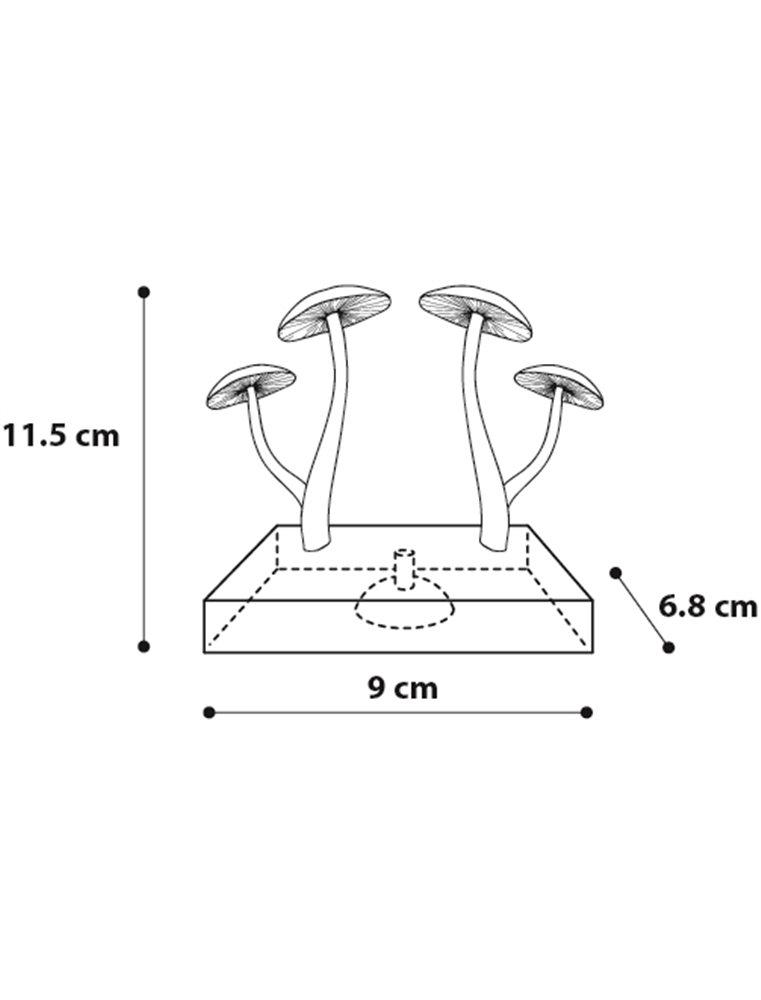 Decoratie fluo paddenstoelen