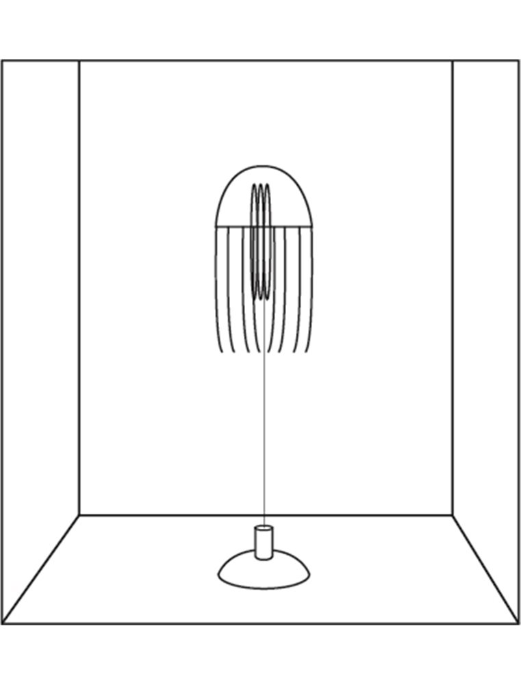 Decoratie fluo kwal transp s ass