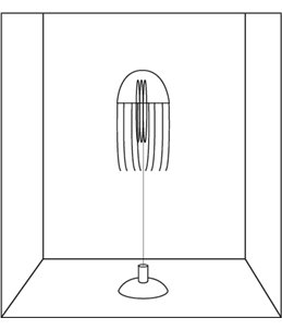 Decoratie fluo kwal gekleurd ass