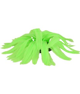 Decoratie fluo varen assortiment