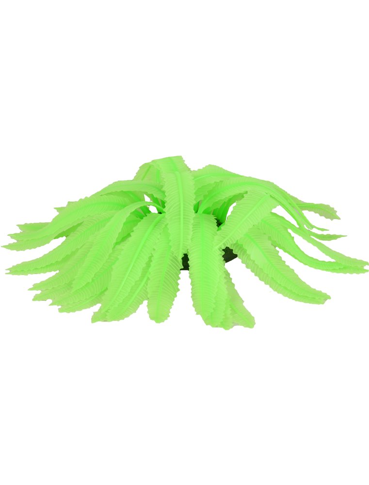 Decoratie fluo varen assortiment