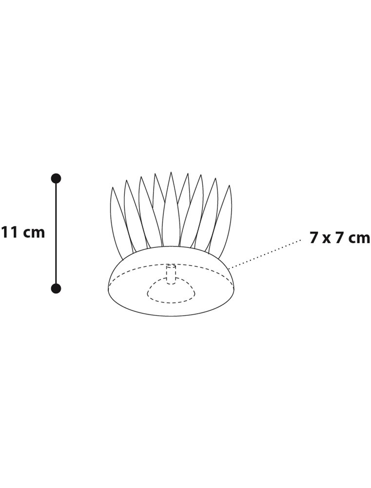 Decoratie fluo varen assortiment