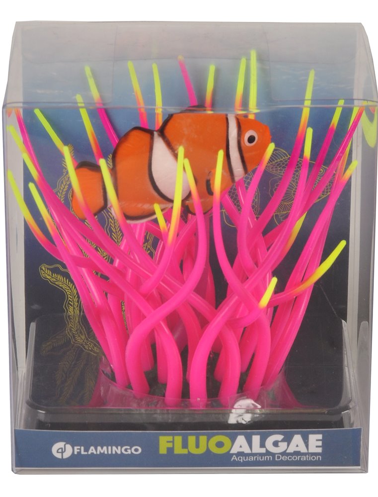 Decoratie fluo zeewier+clownvis ass