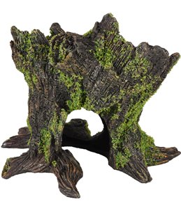 Ad moza stronk 13x10x12cm 