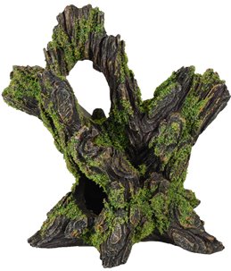 Ad moza stronk 15x11x15cm 