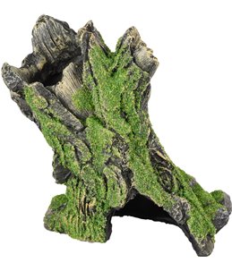 Ad moza stronk 13x7x12cm 