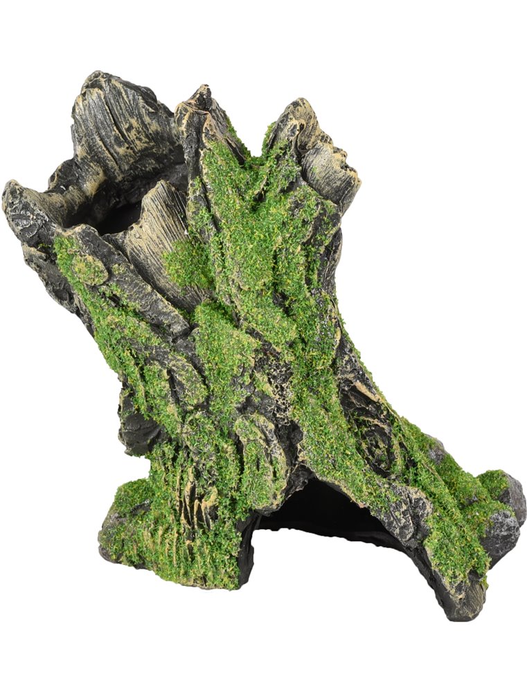 Ad moza stronk 13x7x12cm