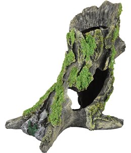 Ad moza stronk 15x10x16cm 