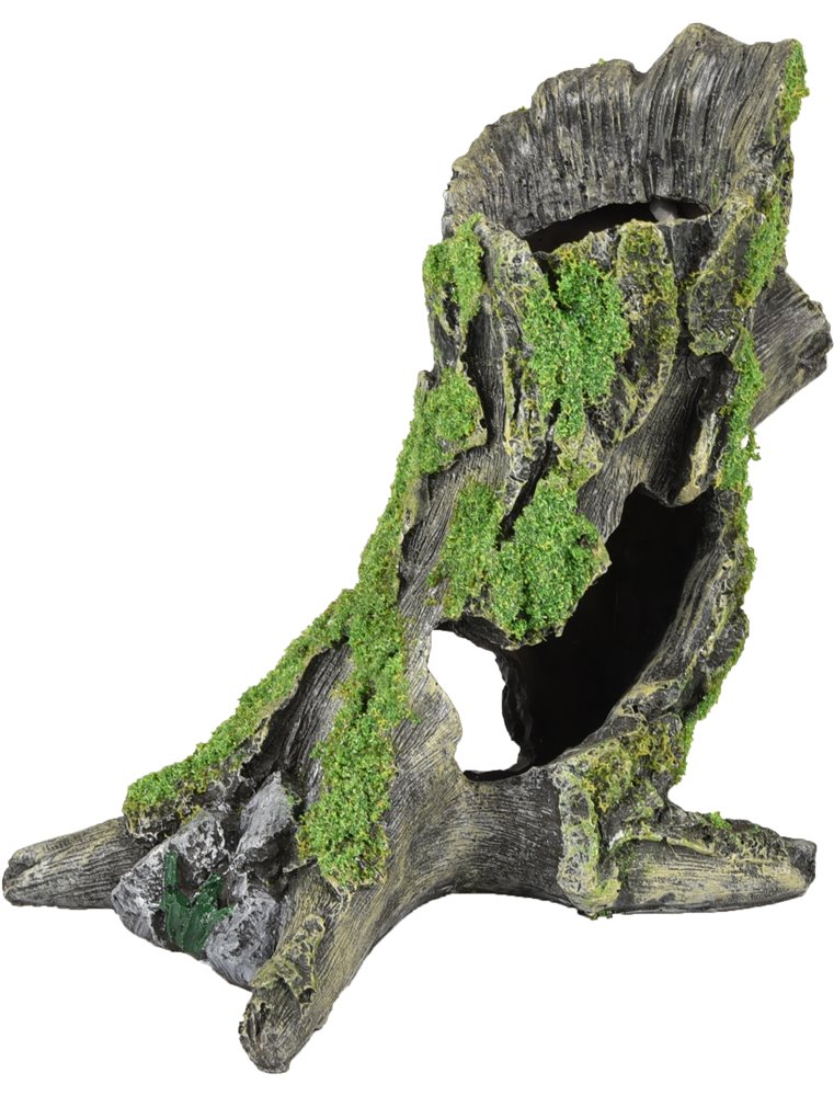 Ad moza stronk 15x10x16cm