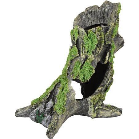 Ad moza stronk 15x10x16cm 