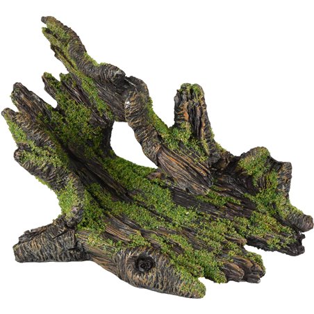 Ad moza stronk 20x10x13cm 