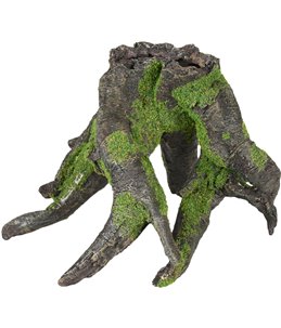 Ad moza boomwortel 20x14x13cm 