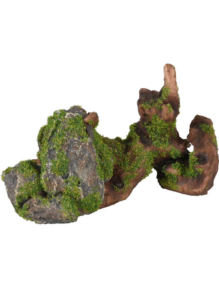 Ad moza stronk+rots 15x5x9cm