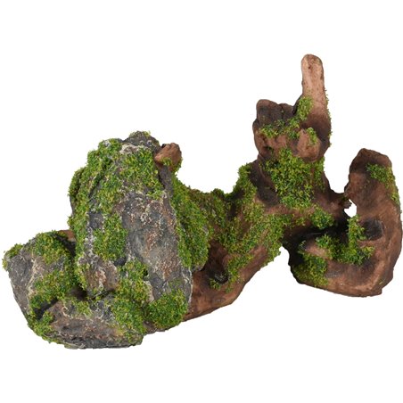 Ad moza stronk+rots 15x5x9cm 