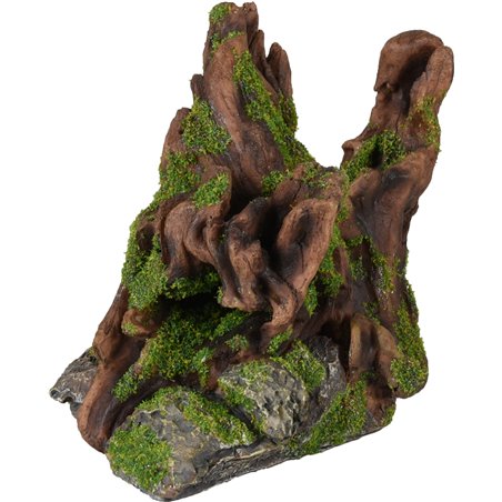 Ad moza stronk+rots 14x11x14cm 