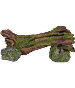 Ad moza stronk+rots 24x9x10cm 