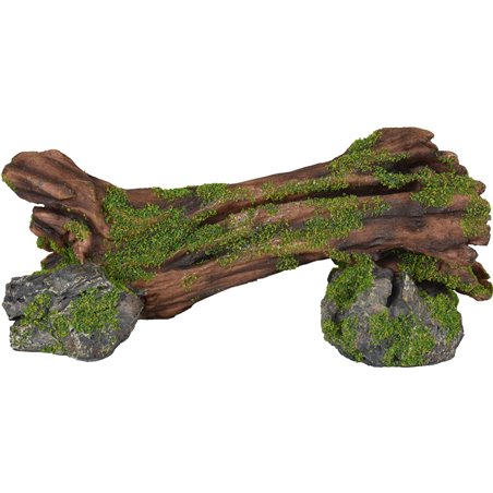 Ad moza stronk+rots 24x9x10cm 