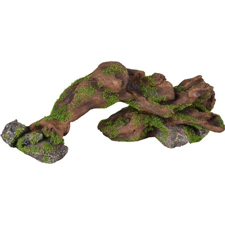 Ad moza stronk+rots 26x9x9cm