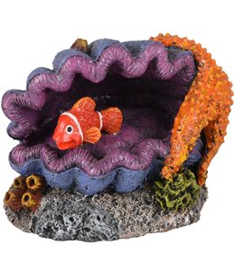 Ad leto schelp+vis 120x8x9cm 