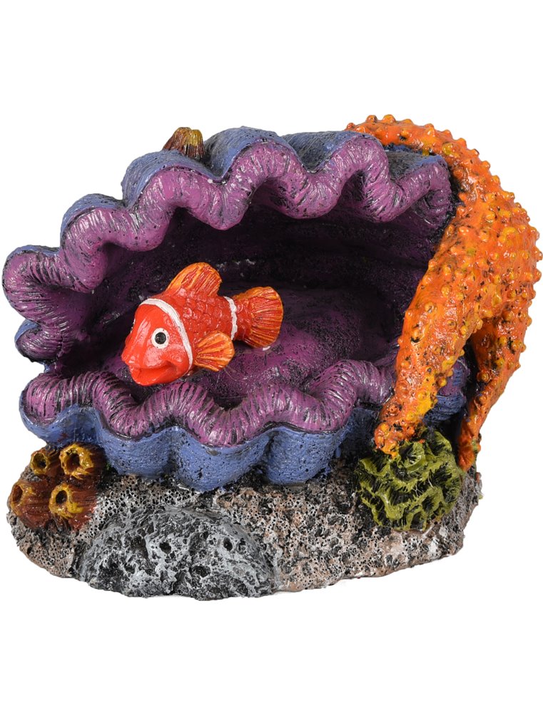 Ad leto schelp+vis 120x8x9cm