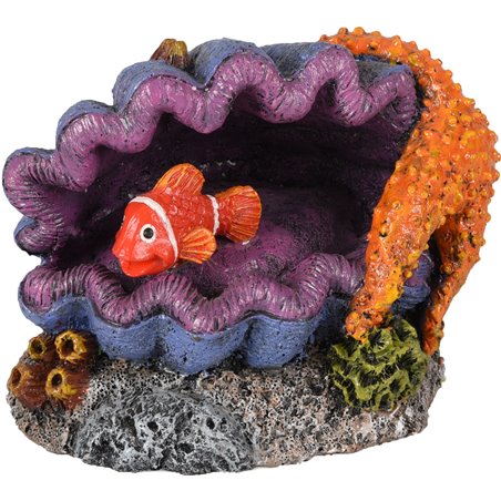 Ad leto schelp+vis 120x8x9cm 