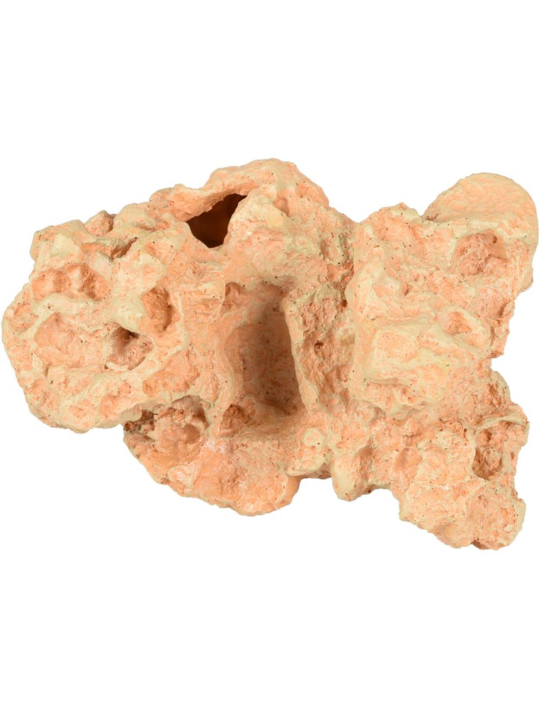 Ad sahara koraal 19x16x15cm