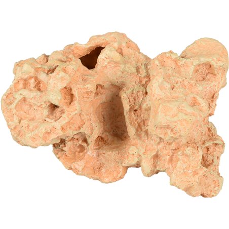 Ad sahara koraal 19x16x15cm 