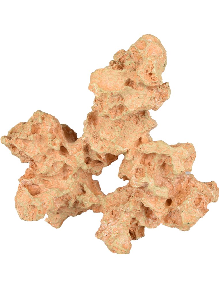 Ad sahara koraal 28x15x23cm