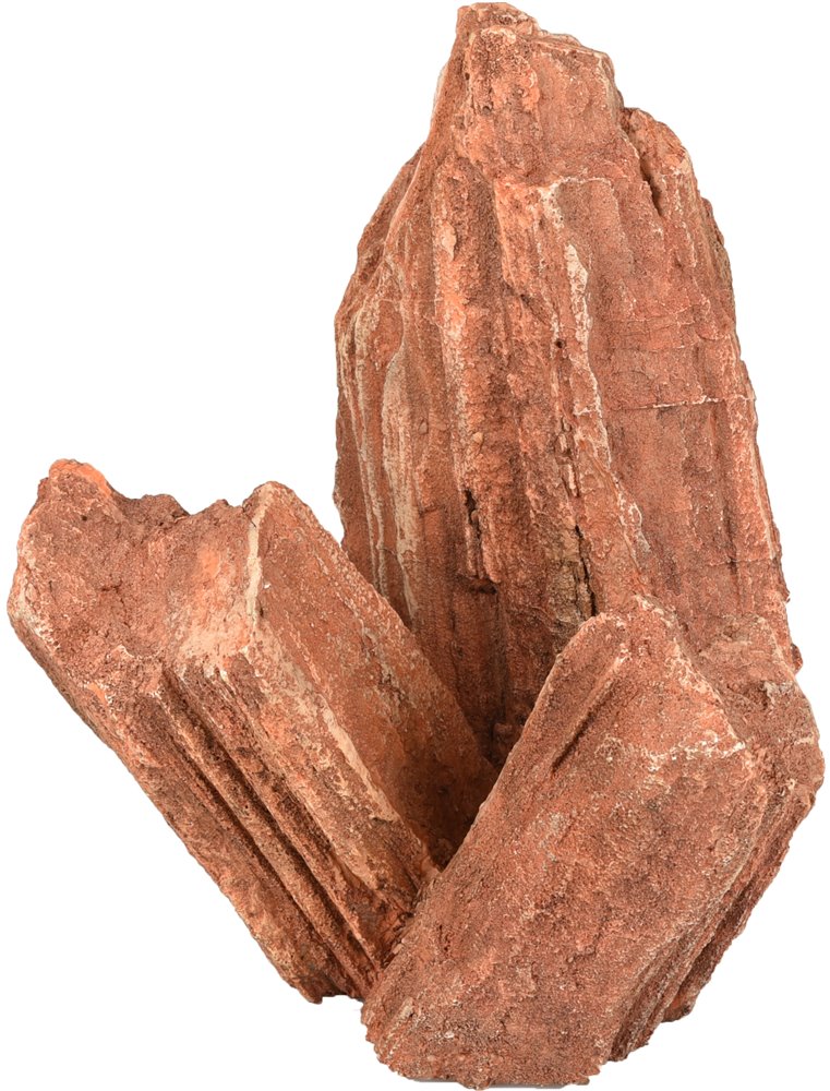 Ad canyon rots 18x16x21cm