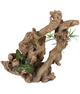 Ad dio wortels+plant 24x19x25cm 