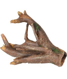 Ad delia wortels 12x8x12cm 