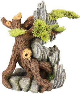 Ad dio wortels+plant 14x12x20cm 