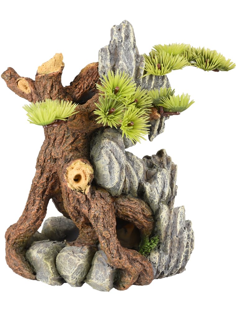 Ad dio wortels+plant 14x12x20cm