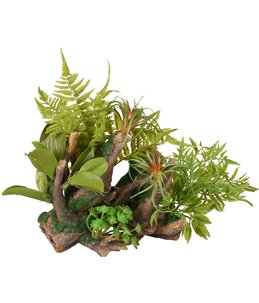 Ad dio wortels+plant 36x31x33cm 