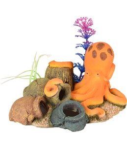 Ad leto octopus + kruiken 16x13x10c 