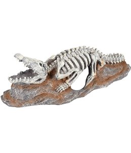 Ad skelo skelet krokodil 20x8x6cm 