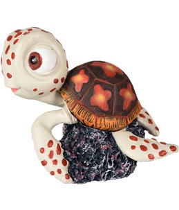 Ad leto schildpad 8x6x7cm