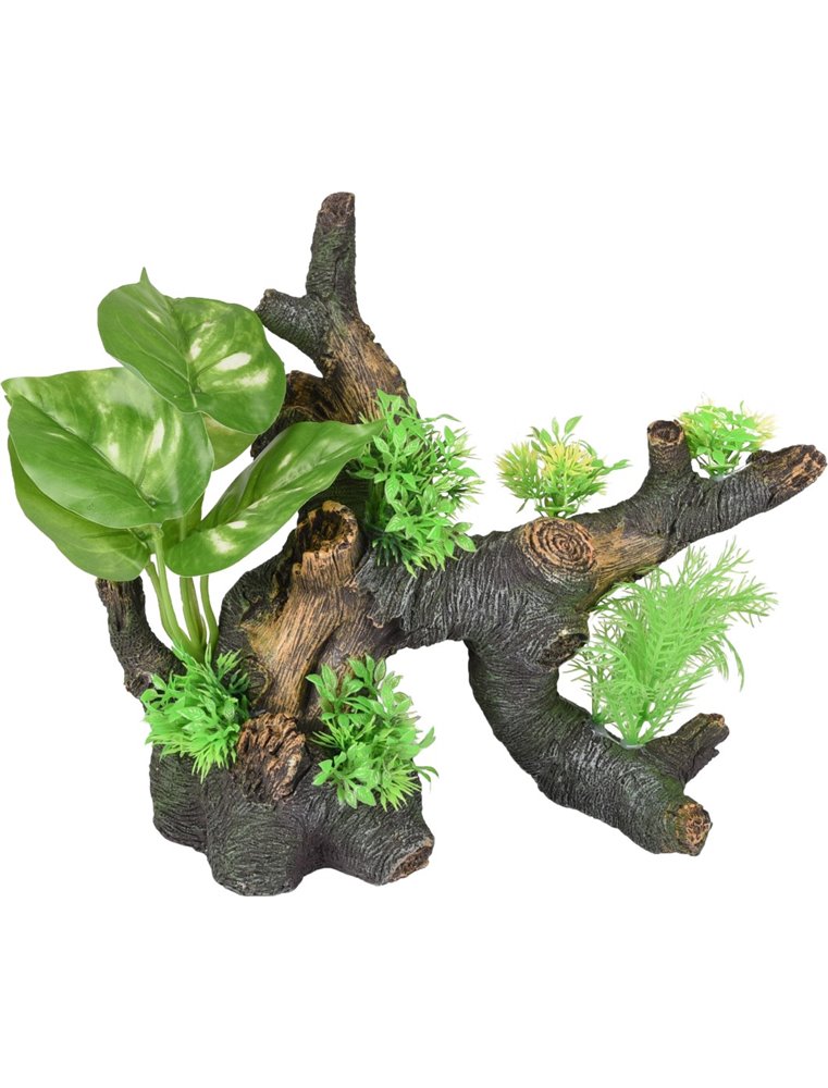 Ad ariel stronk 30x16x25