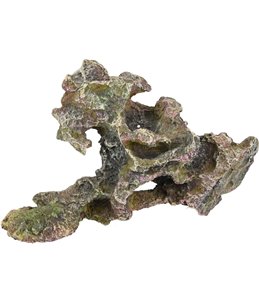 Ad cory koraal 24x11x8cm