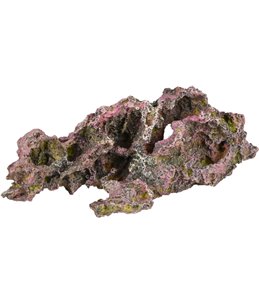 Ad cory koraal 32x17x12cm