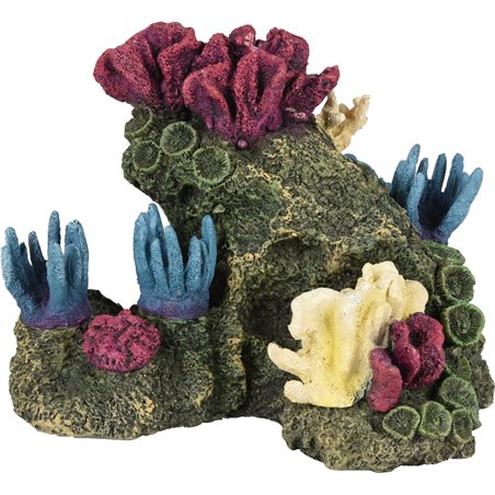 Ad floralia koraal 20x15x15cm 