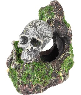 Ad moza skelet+rots 9x7x9cm 