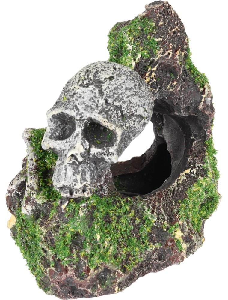 Ad moza skelet+rots 9x7x9cm