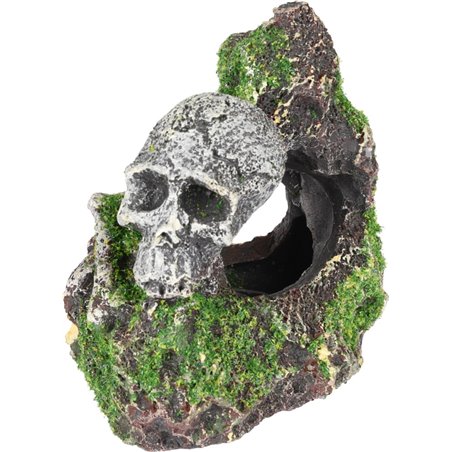 Ad moza skelet+rots 9x7x9cm 