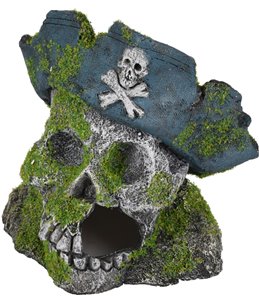 Ad moza skelet+hoed 14x14x14cm 