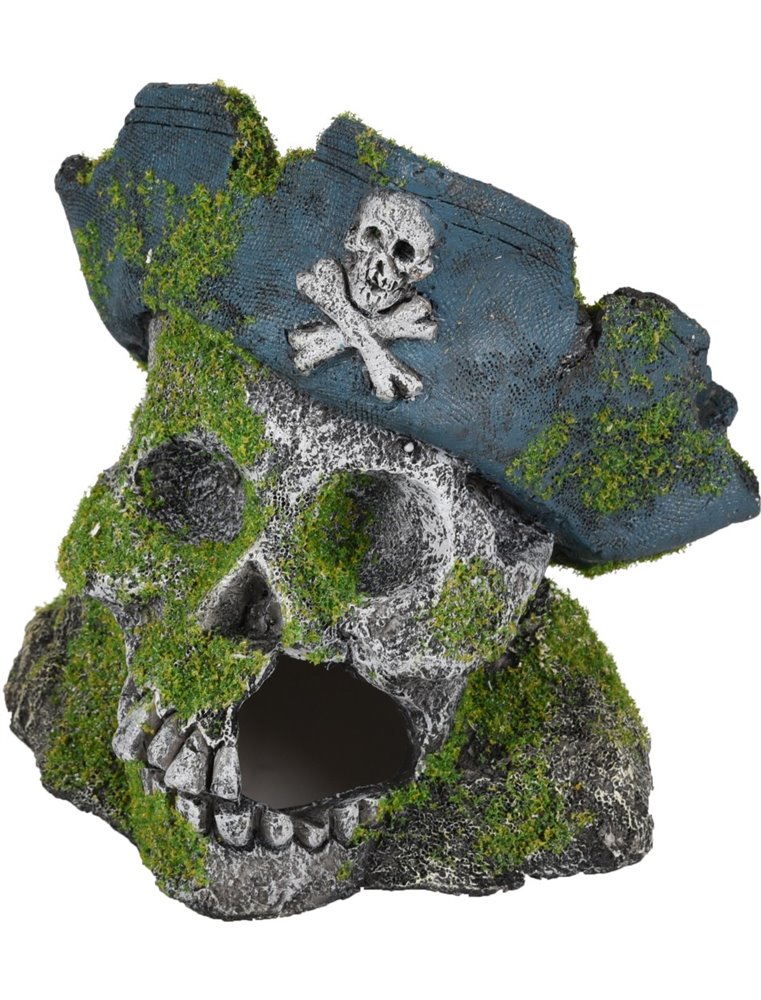 Ad moza skelet+hoed 14x14x14cm